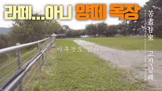 농부에서 아빠로 칠곡 양떼목장 가족 나들이~ [하이스토리텔러]