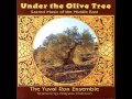 The Yuval Ron Ensemble - D'ror Yikra