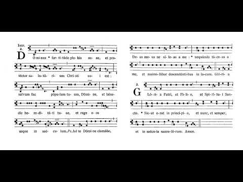 The Choir of St Peter's Eastern Hill: Dominus fortitudo plebis suae