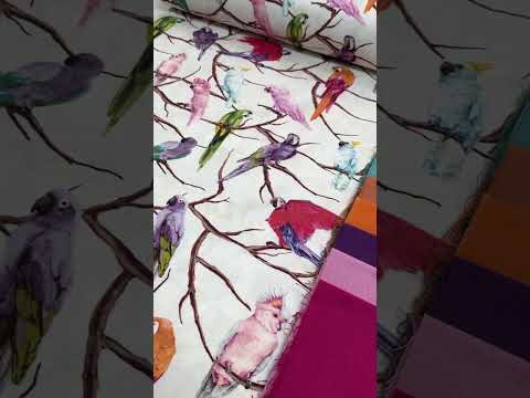 DUCK попугаи на молочном