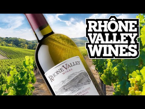 Rhône Valley Wine Guide | Best Wines, Regions & Hidden Gems