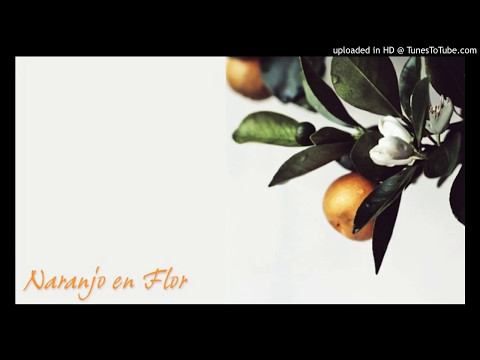 Today's Tango Is... Naranjo En Flor - Aníbal Troilo 23-11-1944