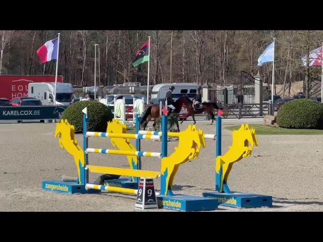 show video
