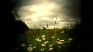 TO ALL THE GIRLS I'VE LOVED BEFORE kind of