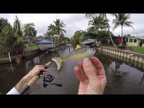 Exploring New Waters!!