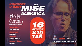 Riblja čorba - Celu noć te sanjam (uživo)