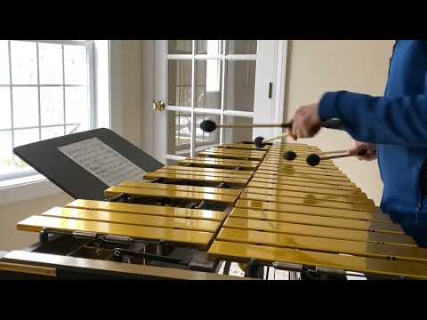 "The Ballad Of The Sad Young Men" - Ed Saindon Solo Vibes