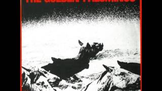 The Golden Palominos - I.D.