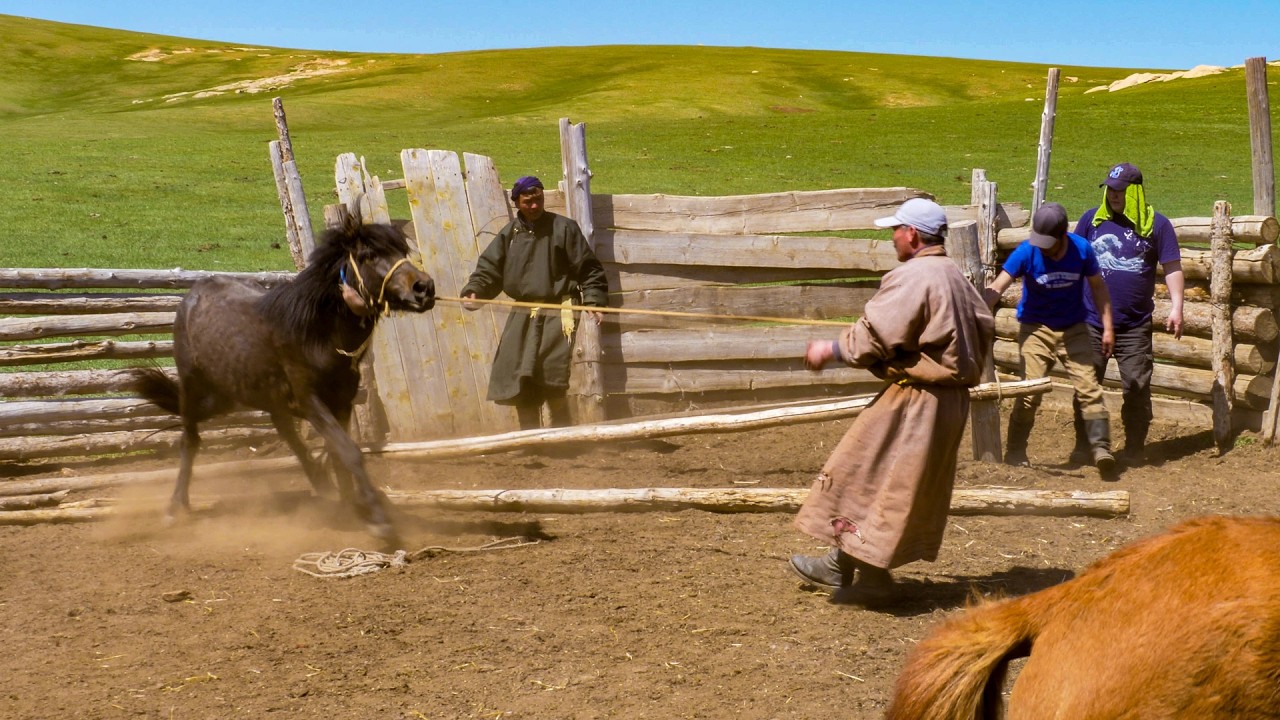 Spring in Mongolia: A Story of Life with 3 Nomad Families 🐎 #documentary #nomadiclife