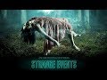Strange Events Free Preview