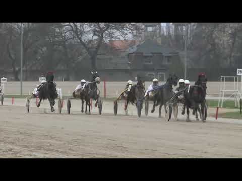 2018.03.31. 2. futam - DEMURE DÍJ