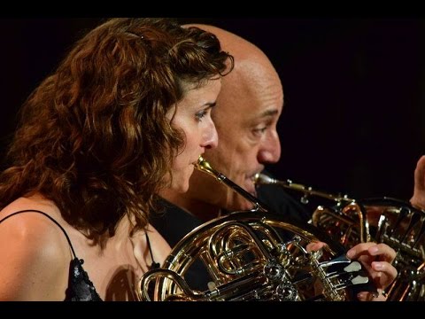 Divertimento opus 59 for two horns and piano by Kalliwoda