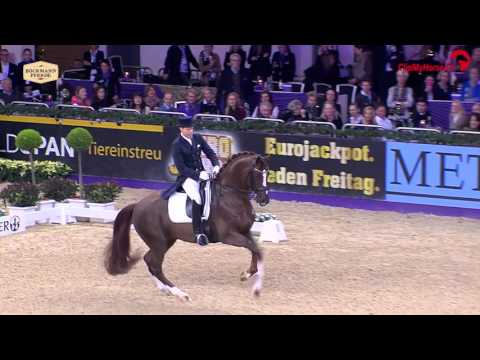 Floriscount v. Florencio I - Donnerhall / Hengstvorführung Vechta 2016 / Böckmann Pferde