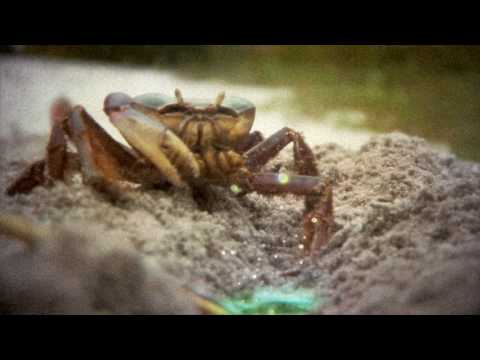 Boemklatsch ft. Mike Lord - One More Day