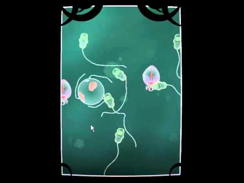 Let's Play Flash - Coil