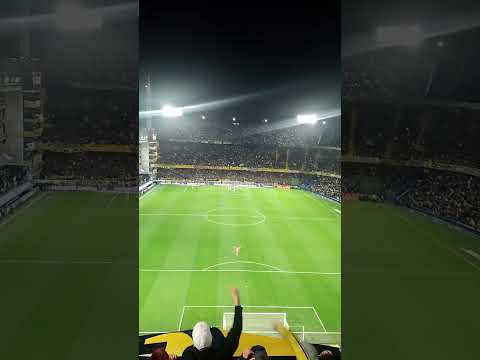 SOY DE BOCA VAGO Y ATORRANTE...#tarotista #mama #bostera #santafe #rosario