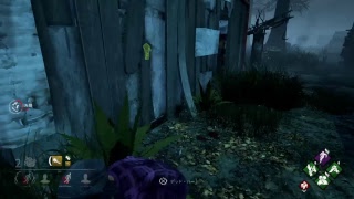 DBD