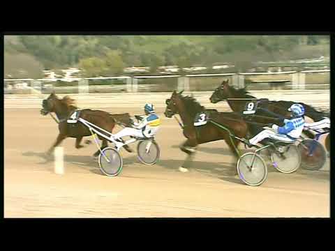 Trotto 28/02/2020 - 1ª corsa