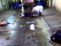 straight hood shit straight hood shit