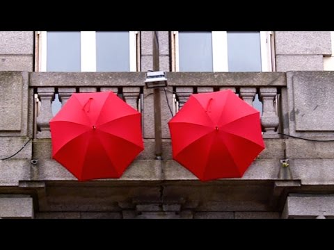 Crafts: the legendary umbrellas of Cherbourg