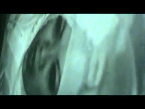 Tennessee Murder Club - Flesh Mob from Carving a Legacy