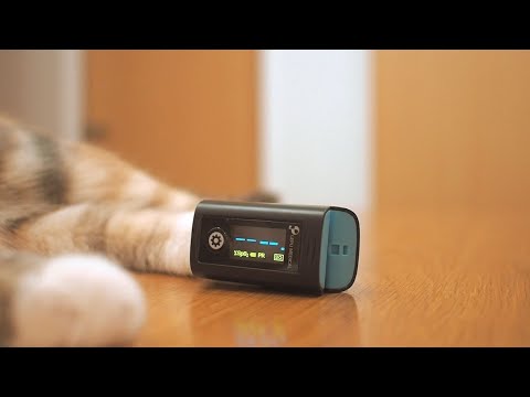 How to use oximeter to measure your oxygen level. How about cats?