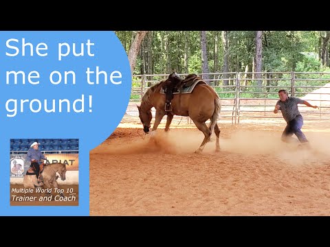 Koda put me on the ground but I don't hold it against her.