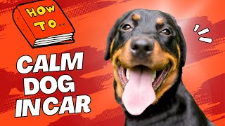 how to calm a dog in the car (9 methods) 🐶