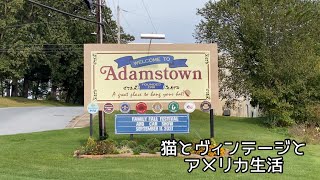 お久しぶりのアダムスタウン