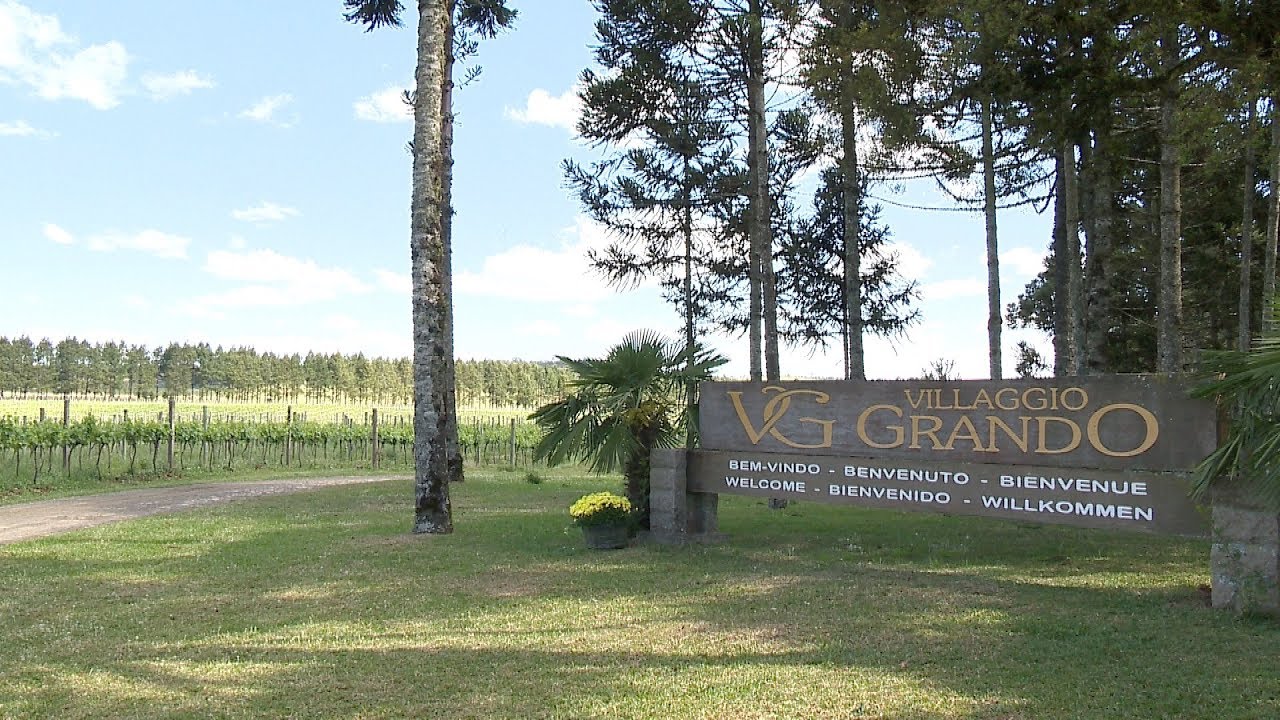 Agricultura SC - Vinícola Villaggio Grando