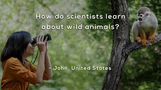 How do scientists learn about wild animals?