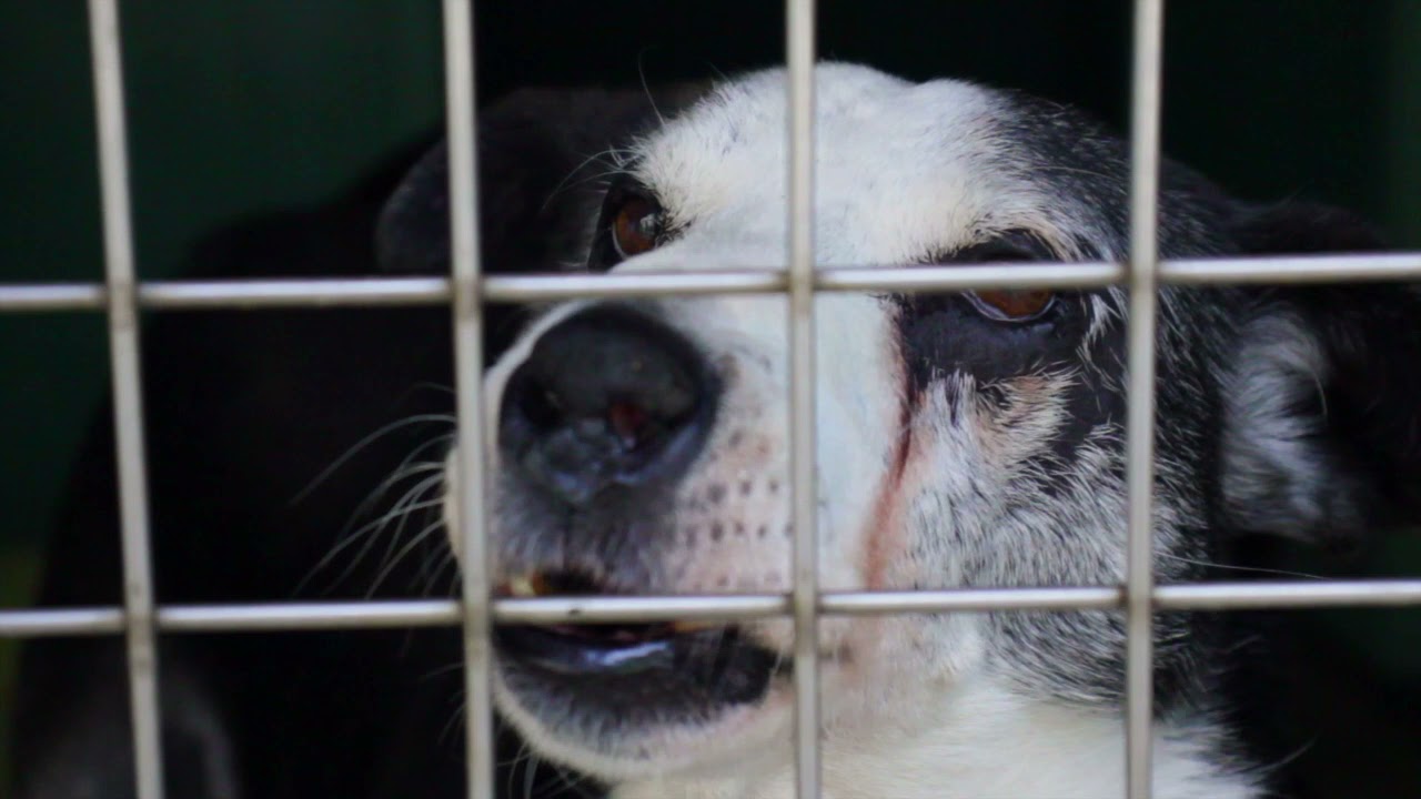 LEGAMI AL CUORE di Max Piro