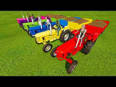 LOAD & TRANSPORT POTATOES WITH URSUS COLOR TRACTORS!-Farming Simulator 22