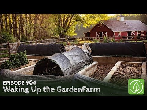 download lagu mp3 mp4 Growing A Greener World, download lagu Growing A Greener World gratis, unduh video klip Growing A Greener World