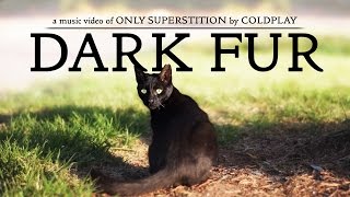 Dark Fur - Music Vdeo (Only Superstition \ Coldplay)