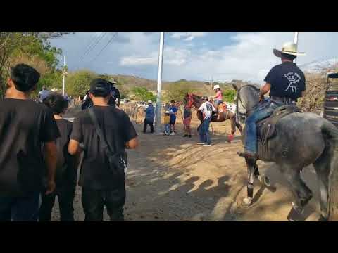 Homenaje a don Medardo Villatoro y jaripeo en San Juangualare, El Sauce, La Unión, El Salvador