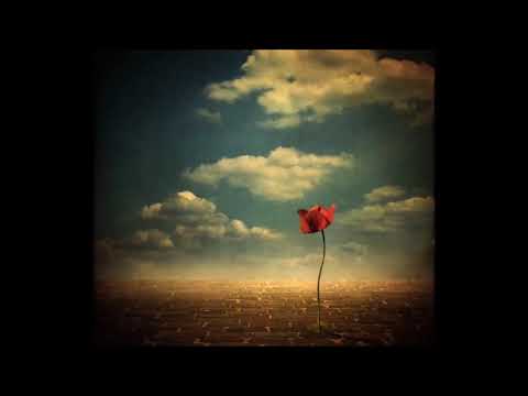 Dalibor Rajačić - Sasvim Dobro (ORIGINAL)