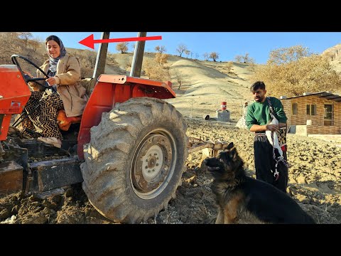 young pregnant nomadic woman is plowing her field to plant a new crop. 👩‍🌾🤰🌾😱