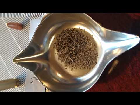 Federal American Eagle FMJ 40 grain 5.7 x 28 (They slowed it down!)- 1/28/23 - comparison w/Ruger LC