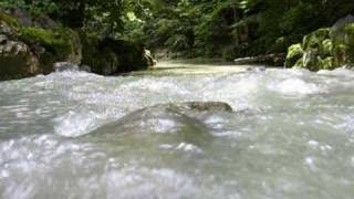 DecembeRadio - Can't Hide