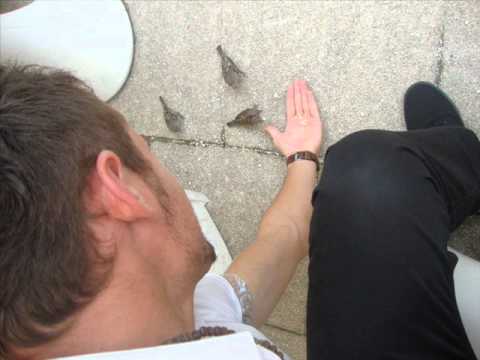 VaLi - Dashurin e Fike  Prod by Leendy and Video by Miripz