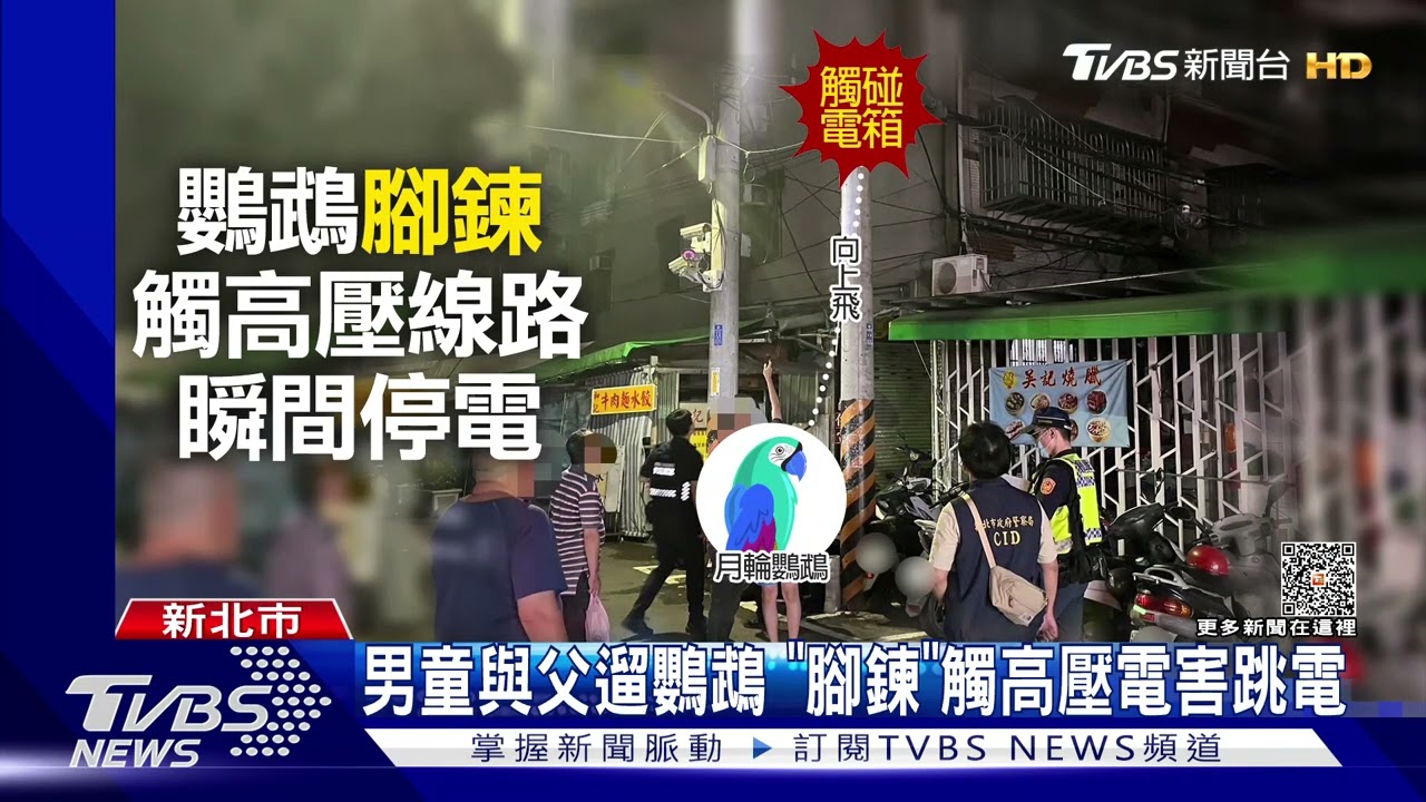 整條街瞬間黑15秒閃火光！　全因「鸚鵡」惹禍