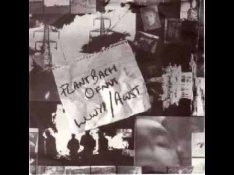 John Peel's Plant Bach Ofnus (Timid Little Children) - Awst (August)