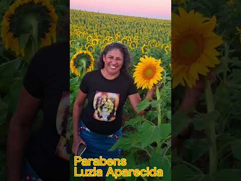 MULHER VIRTUOSA, NAVIRAÍ MATO GROSSO DO SUL