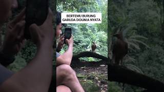 Download lagu meet garuda bird in real world #shorts mp3