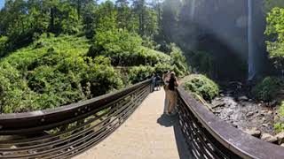 Latourell Falls Falls #8k #VR360 in Columbia River Gorge in Oregon