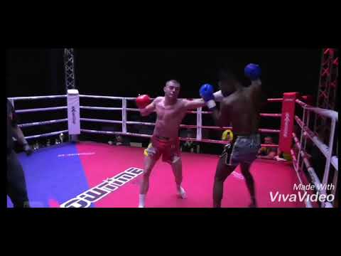 Cedo TDI Pantic highlight