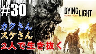 【初実況】2人で生き抜くDying Light #30【カクスケ】