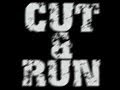 Cut and run (music sin copyright) 