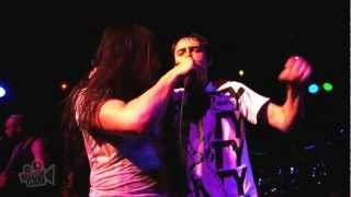 Andrew W.K. - Totally Stupid (Live in Pomona) | Moshcam